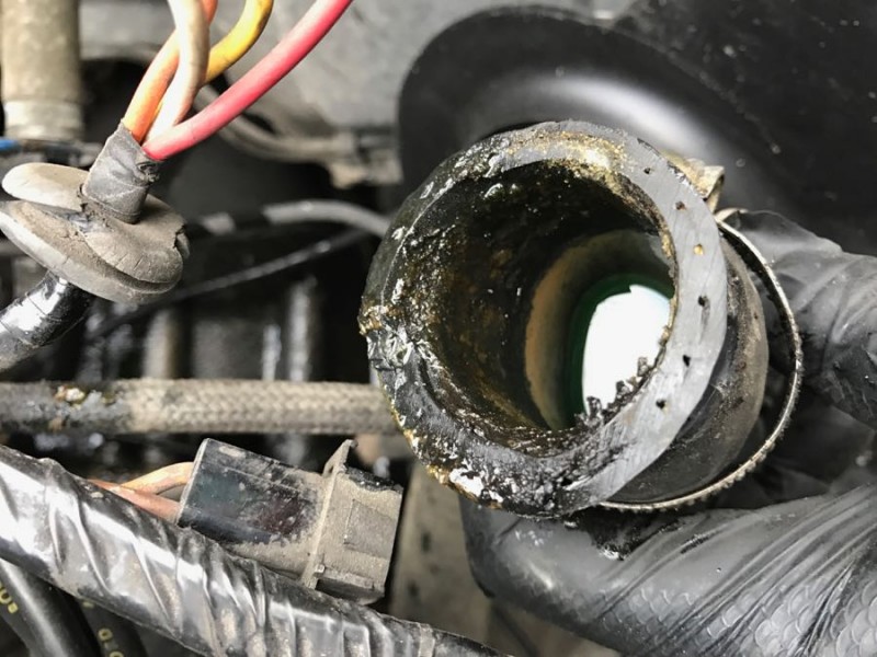 Rear engine radiator hose